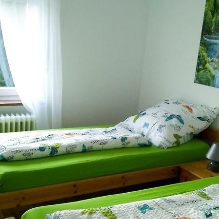 Ferienwohnung Am Eichbuehl فالدكريش المظهر الخارجي الصورة